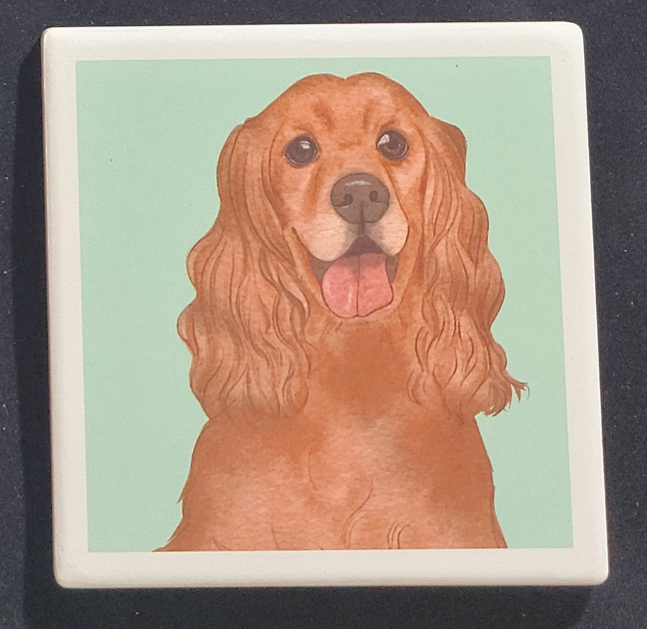 Purple Turtle Gifts Portrait Collection Absorbent Coaster-Cocker Spaniel 