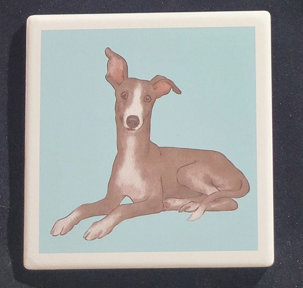 Purple Turtle Gifts Portrait Collection Absorbent Coaster-Greyhound