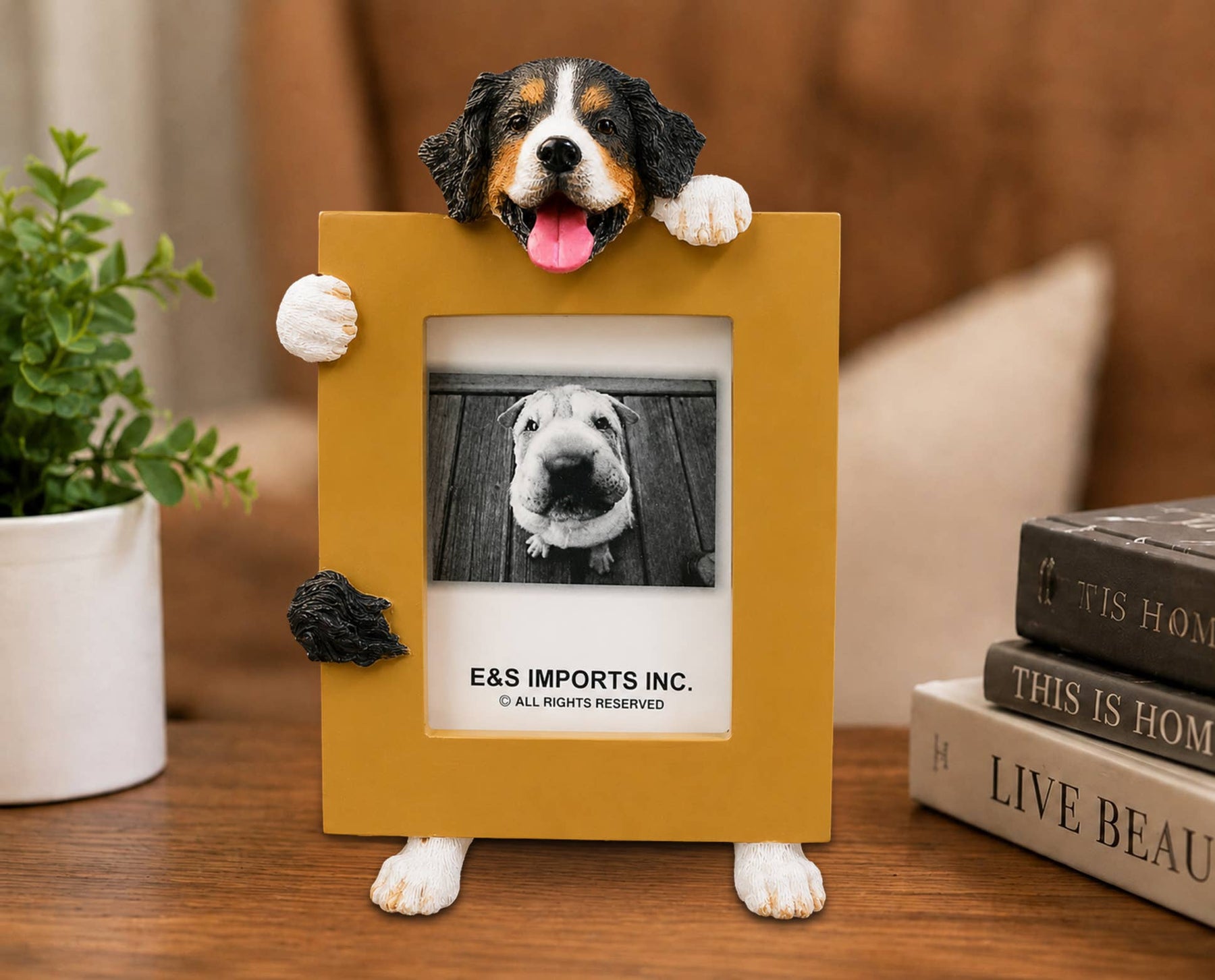 Bernese Mountain (2 1/2x3 1/2) Small Photo Picture Ceramic Frame from E&S Imports