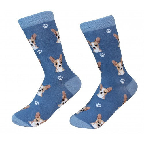 E&S Imports Pet Lover Unisex Socks - Chihuahua (fawn)