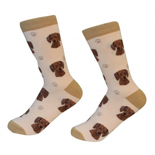 E&S Imports Pet Lover Unisex Socks - Dachshund (red) (E&S-800-13)
