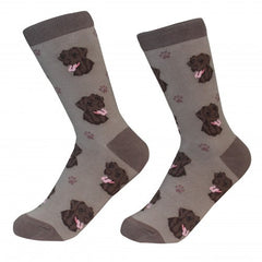 E&S Imports Pet Lover Unisex Socks - Labrador Retriever (chocolate) (800-22)