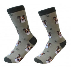 E&S Imports Pet Lover Unisex Socks - Papillon (800-63) 