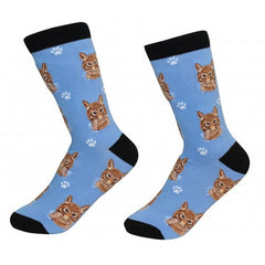 E&S Imports Pet Lover Unisex Socks - Tabby (Orange) Cat (E&S-801-9)