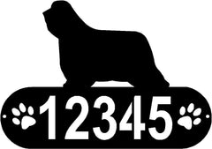 Bearded Collie Dog PAWS House Address Sign or Name Plaque
