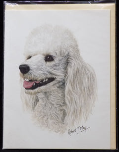 Blank Card with Envelope by Robert May - White Poodle (RGC01A)