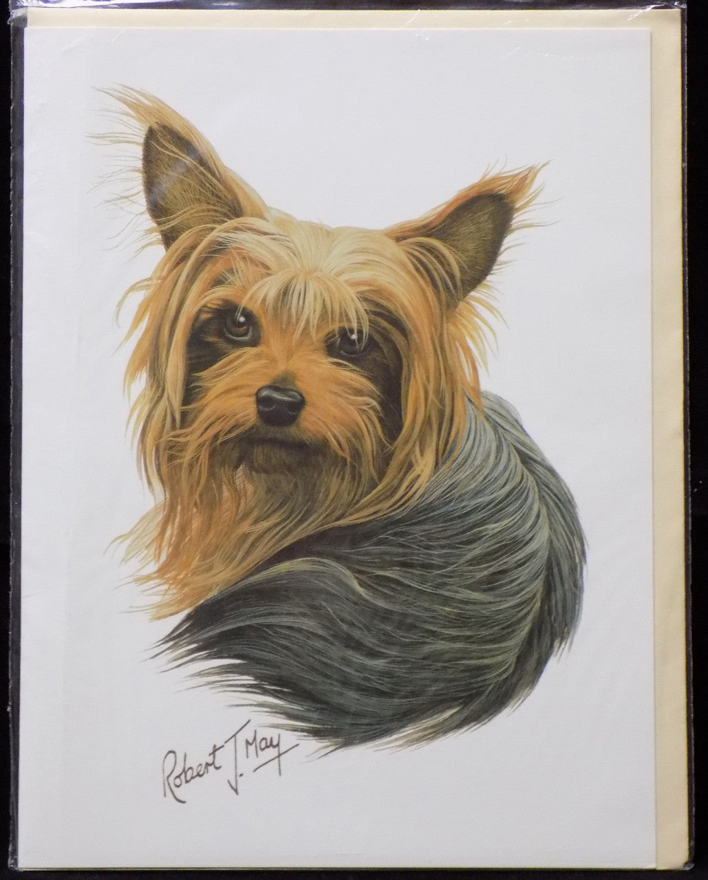 Blank Card with Envelope by Robert May - Yorkshire Terrier (Yorkie) (RGC04)