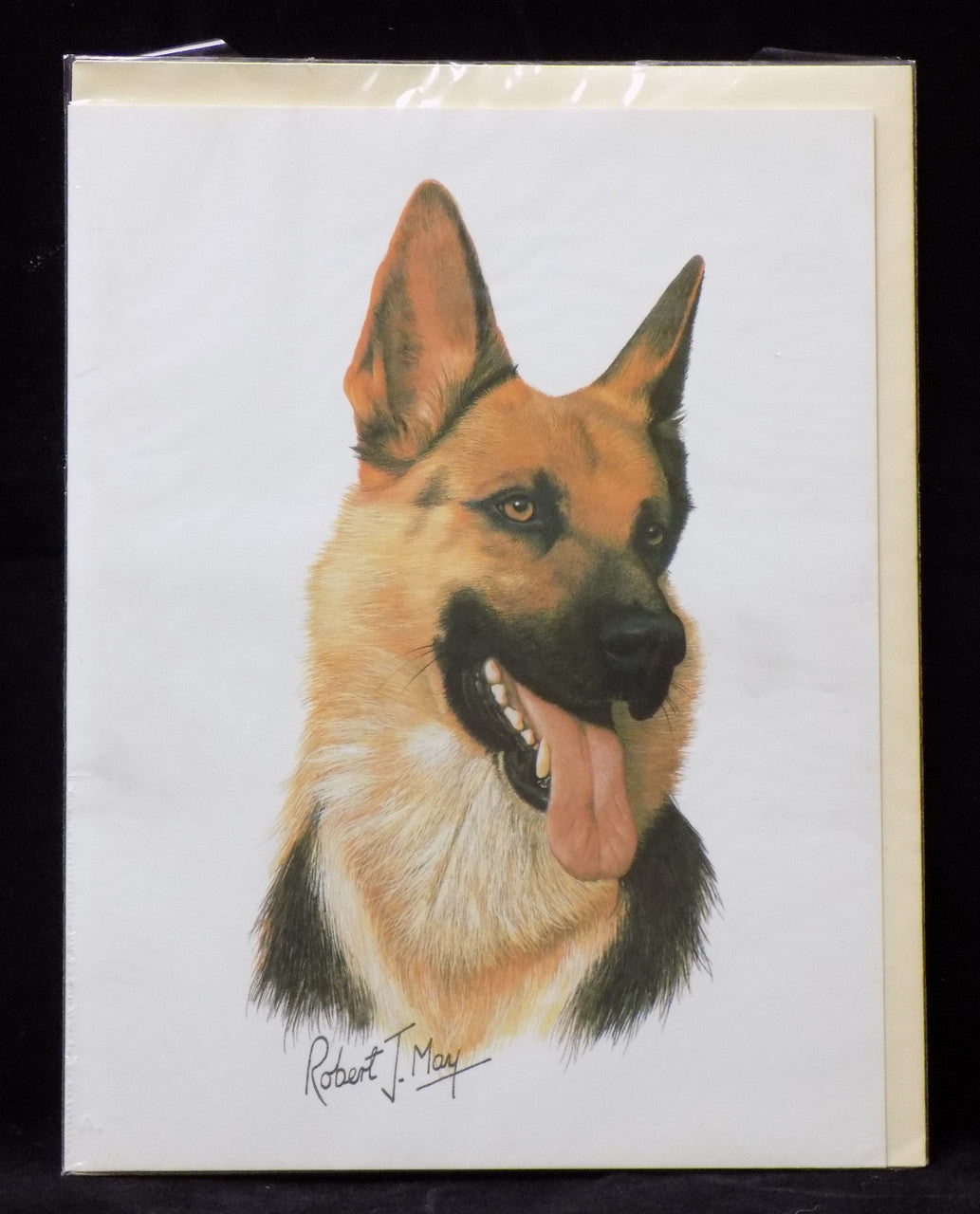Blank Card with Envelope by Robert May - German Shepherd (RGC08A)