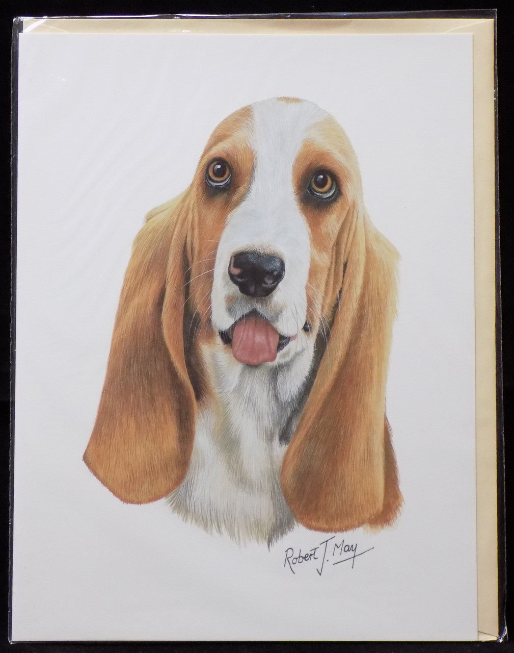 Blank Card with Envelope by Robert May - Basset Hound (RGC37)