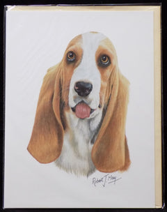 Blank Card with Envelope by Robert May - Basset Hound (RGC37)