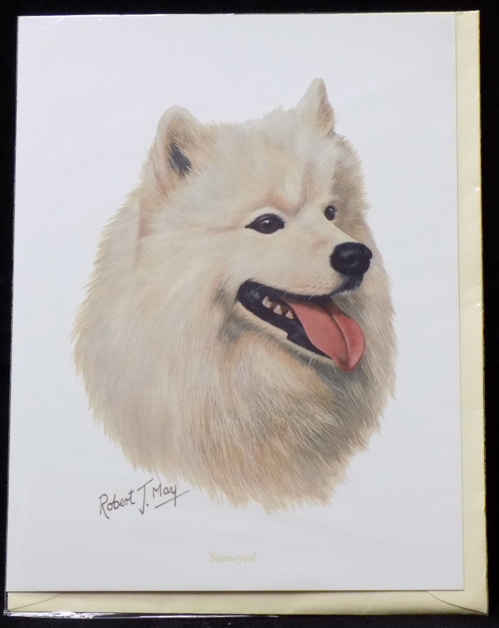 Blank Card with Envelope by Robert May - Samoyed (RGC39)
