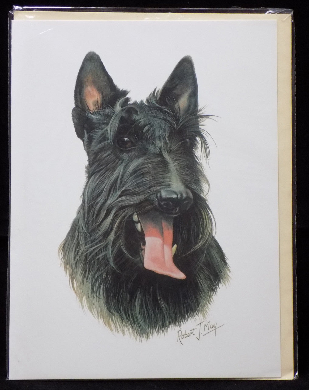 Blank Card with Envelope by Robert May - Scottish Terrier (Scottie) (RGC42)