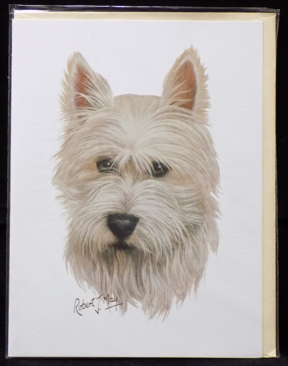 Blank Card with Envelope by Robert May - West Highland Terrier (Westie) (CON-RGC43)