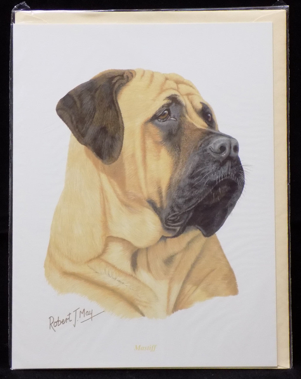Blank Card with Envelop by Robert May - Mastiff (RGC49)