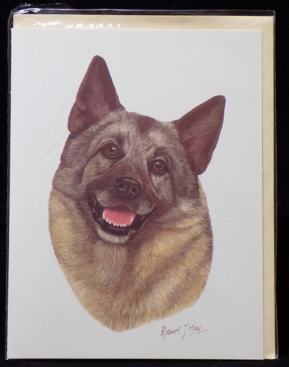 Blank Card with Envelope by Robert May - Norwegian Elkhound (RGC52)