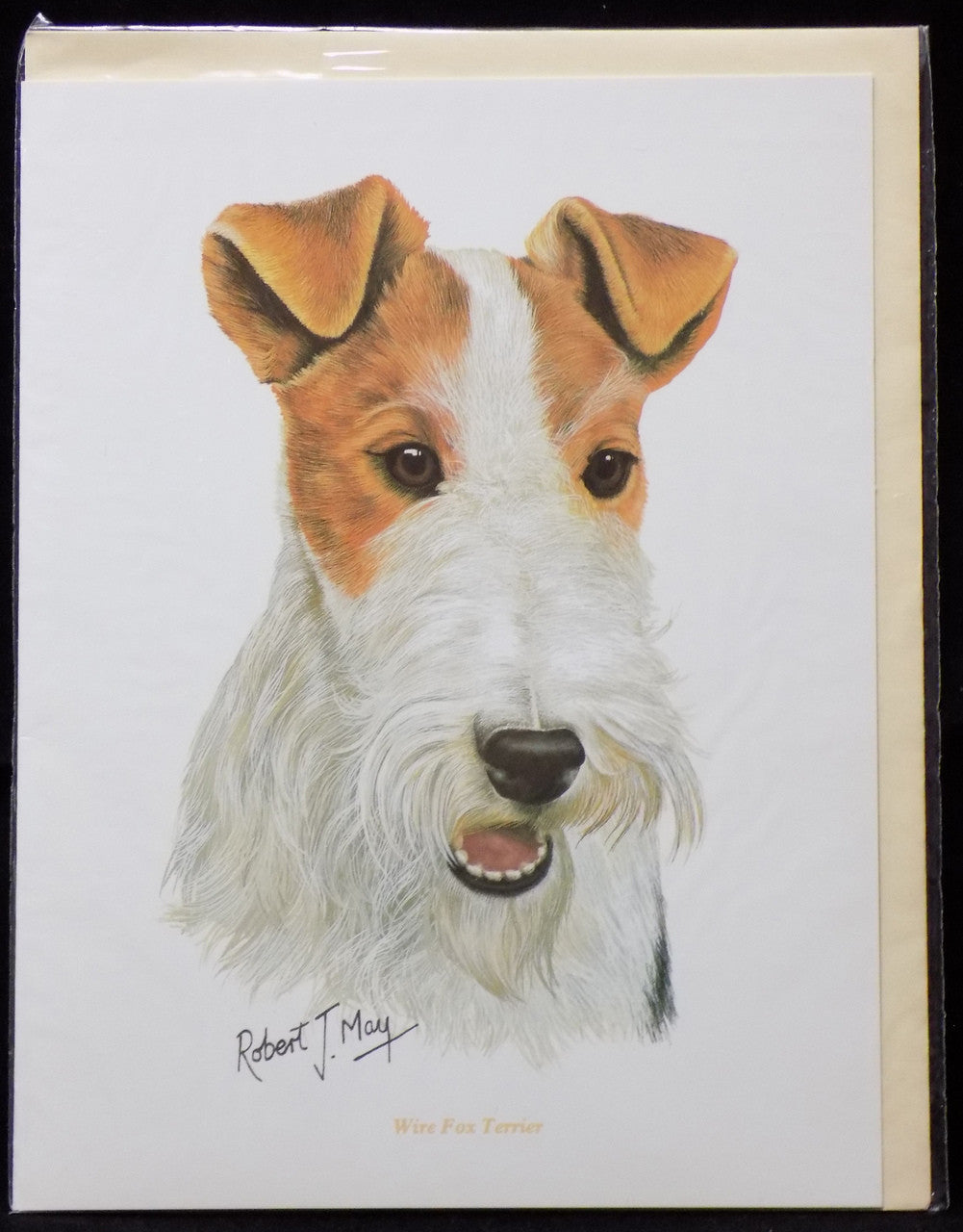 Blank Card with Envelope by Robert May - Wirehaired Fox Terrier (RGC59)