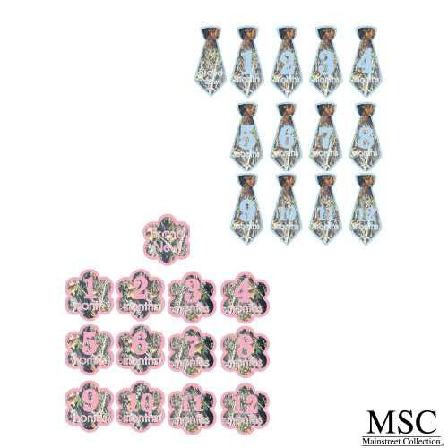 Main Street Collections Camo Baby Onesie Stickers - Boy (CSPP/7120 G) (Boys and Girls Sets Show are Sold Separately.  You will get one set for either a boy or girl)