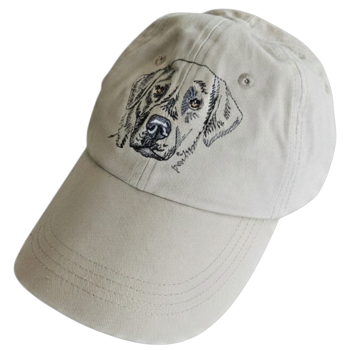 Gr8 Dog Eyes Design Black Lab Retriever Hat