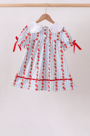 Red Apple Embroidered Dress