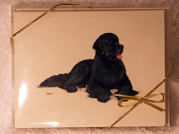 ur Children Blank Note Cards - Newfoundland (NC040597)