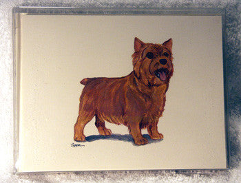 Fur Children Blank Note Cards - Norwich Terrier (NC0405100)