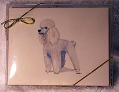 Fur Children Blank Note Cards - Poodle (White) (NC0405109)