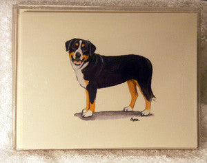 Fur Children Blank Note Cards - Greater Swiss Mountain Dog (NC040571)