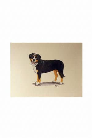 Fur Children Blank Note Cards - Greater Swiss Mountain Dog