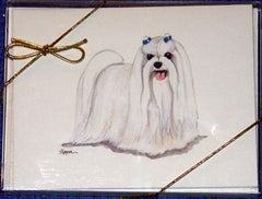 Fur Children Blank Note Cards - Maltese (NC040593)