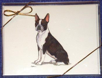 Fur Children Blank Note Cards - Boston Terrier (NC040524)
