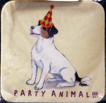 Fur Children Party Animal Coasters - Jack Russell (PC040481)