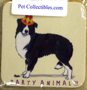 Fur Children Party Animal Coasters - Border Collie (PC040421)