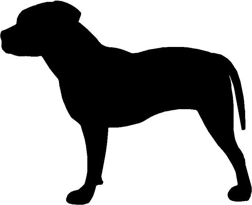 Pit Bull Terrier Personalized Key Holder and Leash Hanger -  5 Hooks