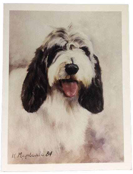 Ruth Maystead Note Cards - Petite Basset Griffon Vendeen (PBGV) Head Shot (PVG1 NC)