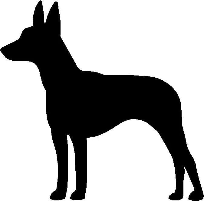 Rat Terrier Dog Key Rack/ Leash Hanger