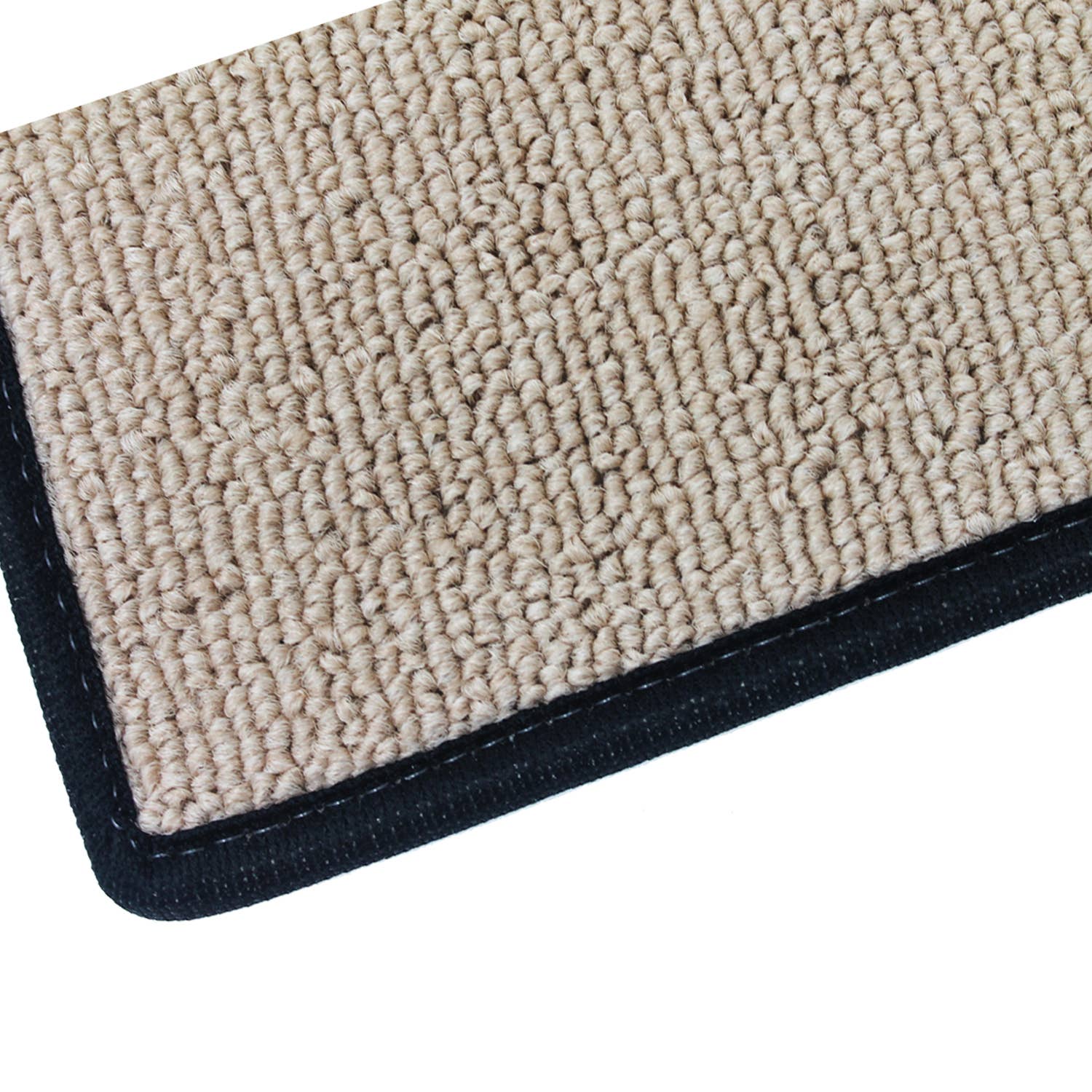 beware-of-dog-cat-is-shady-mat