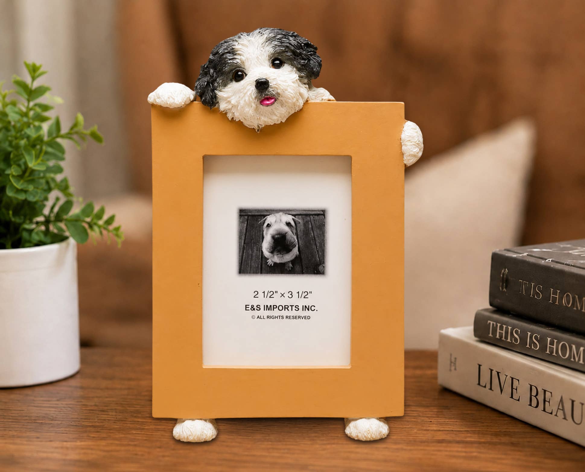 Shih Tzu, puppy cut black and white Small Photo Frame: Ceramic