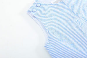 Blue Seersucker Gingham Bunny Shortall