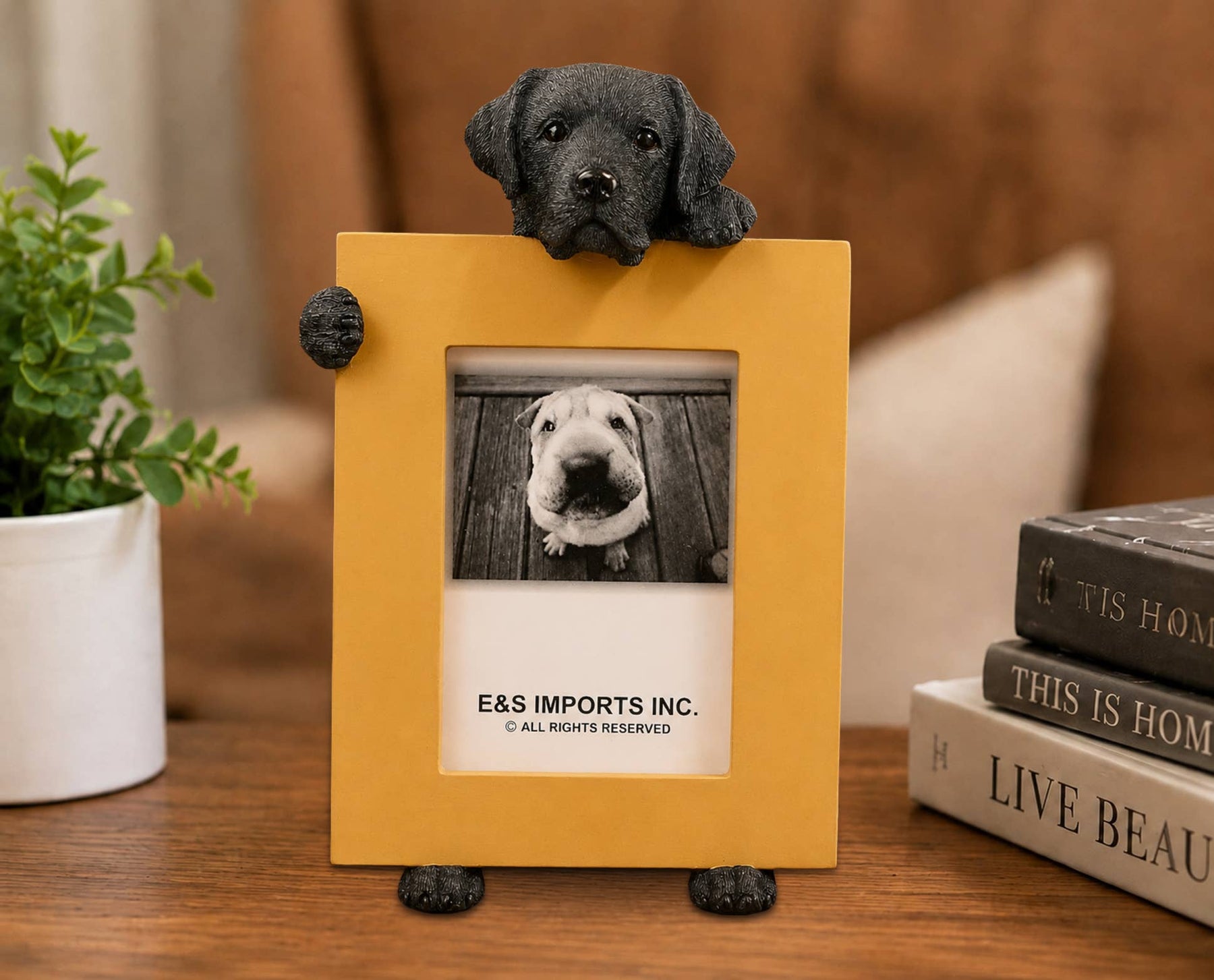 Labrador Retriever Black (2 1/2x3 1/2) Small Photo Picture Ceramic Frame from E&S Imports